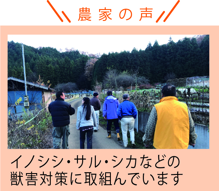 農家の声 農家の声